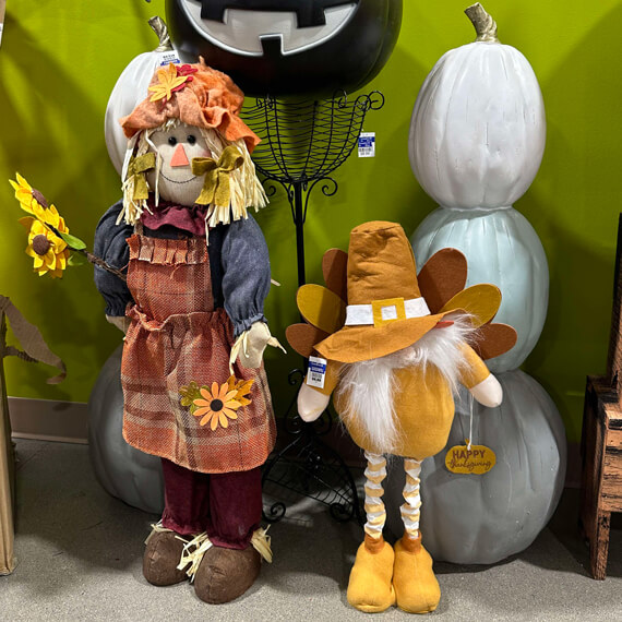 A scarecrow and a turkey on display 